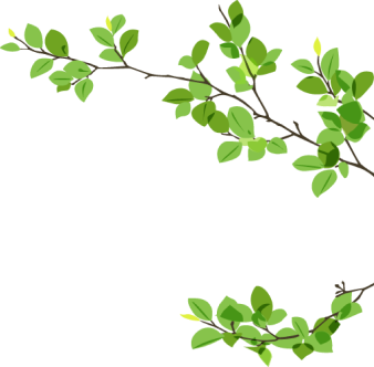 leaf background