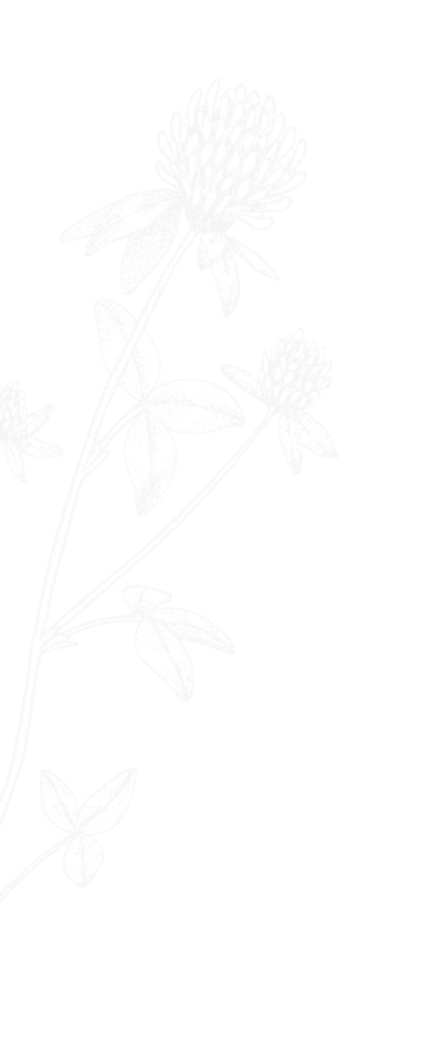 background shape