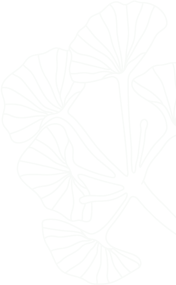 decorative shape