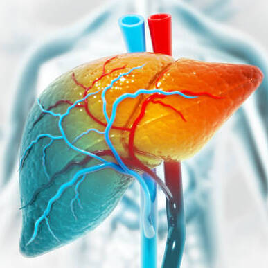 Liver Cirrhosis